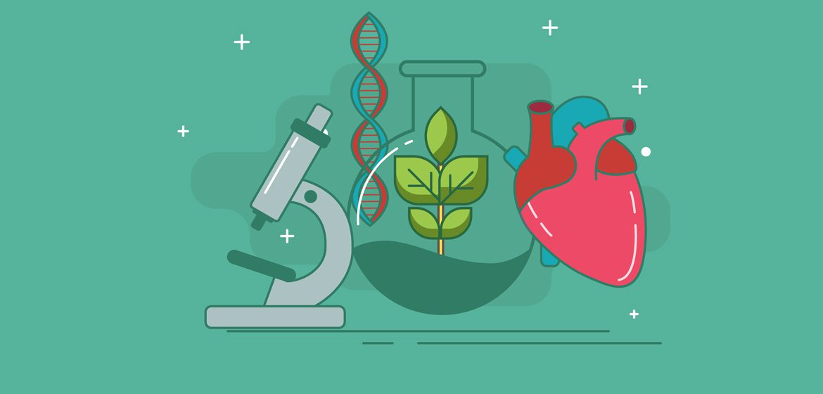 Image of a microscope, DNA strand, a leaf in a beaker and a heart on a green background. 