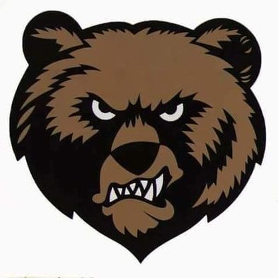 picture of the bear logo of our school